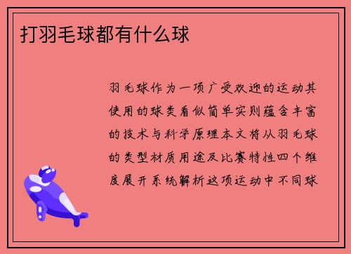 打羽毛球都有什么球