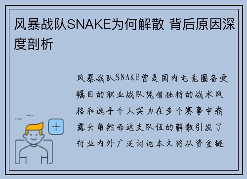 风暴战队SNAKE为何解散 背后原因深度剖析