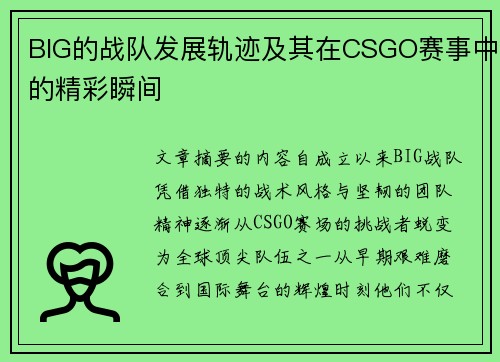 BIG的战队发展轨迹及其在CSGO赛事中的精彩瞬间